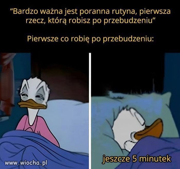 Codziennie rano 