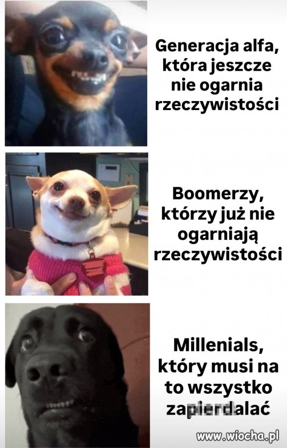 Millenialsi zawsze mają najgorzej?