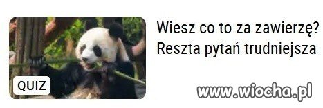 Wiesz co to za zwierzę?