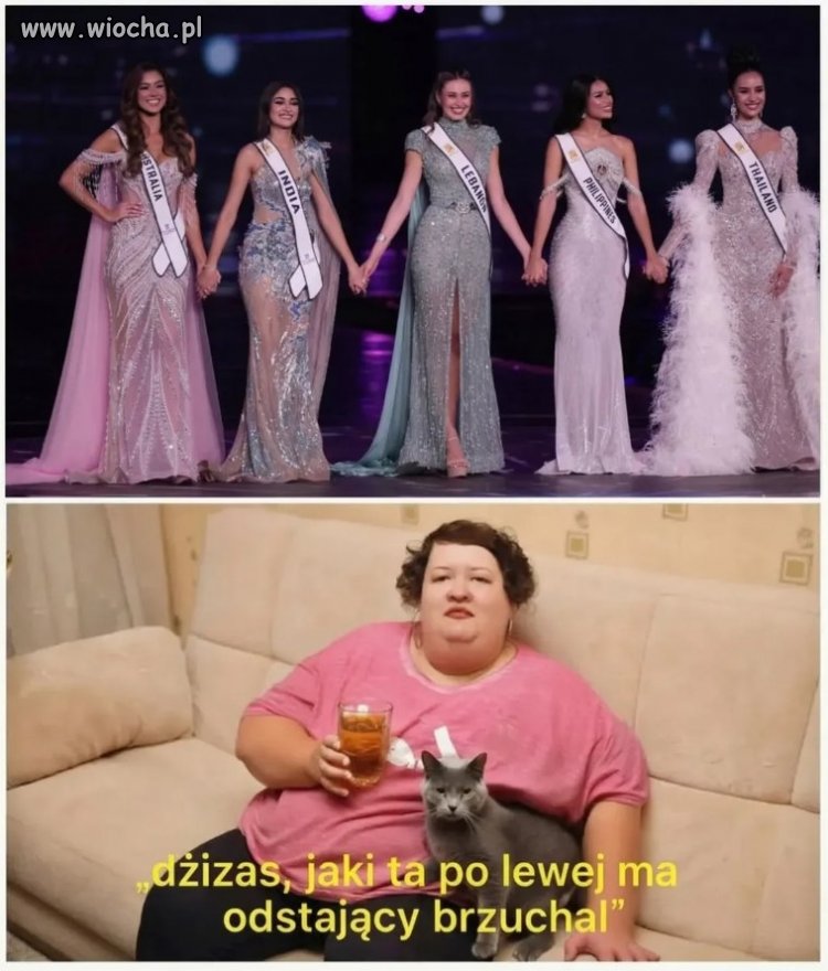 Ale ta po lewej ma brzuchal