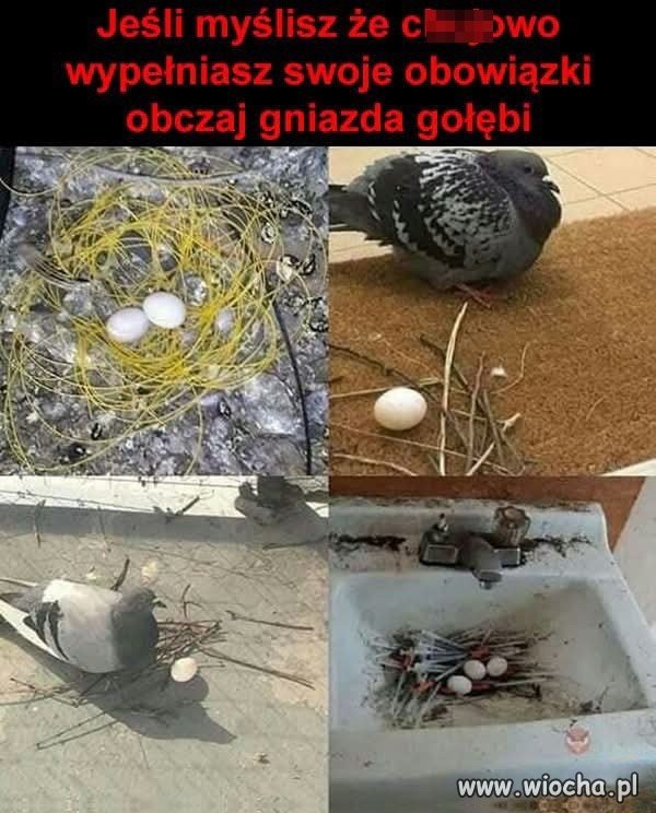 Nie jest z Tobą tak źle
