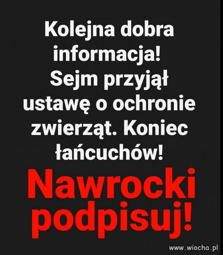 Polacy krzyczą jednym głosem: NAWROCKI PODPISUJ!