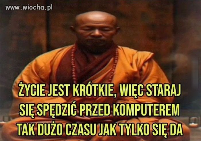 Mądrości na dziś 