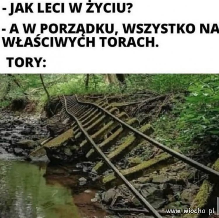 Moje właściwe tory