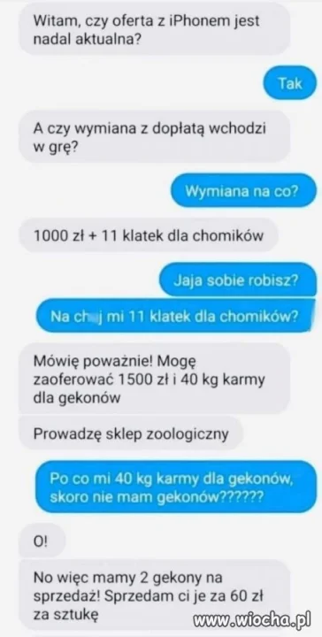 Jaja sobie robi?