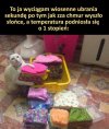 Teraz to już będzie wiosna