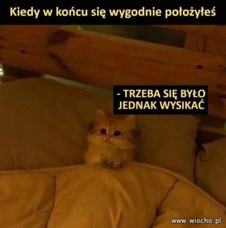 Trzeba było się jednak wysikać