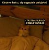 Trzeba było się jednak wysikać
