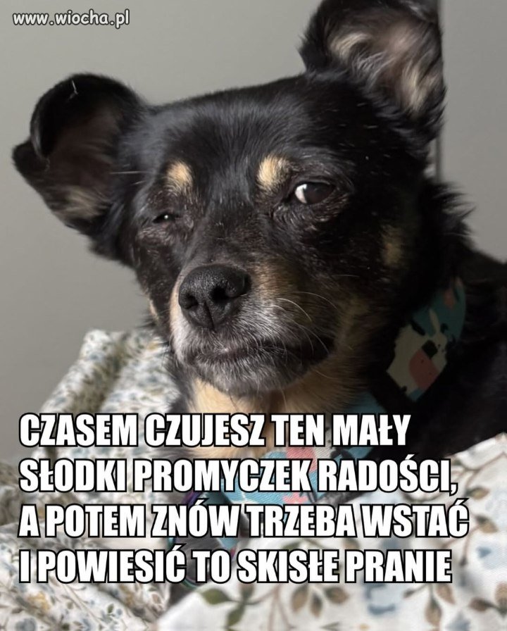 Czasem czujesz się dobrze