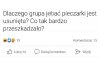Co tak bardzo przeszkadzało?