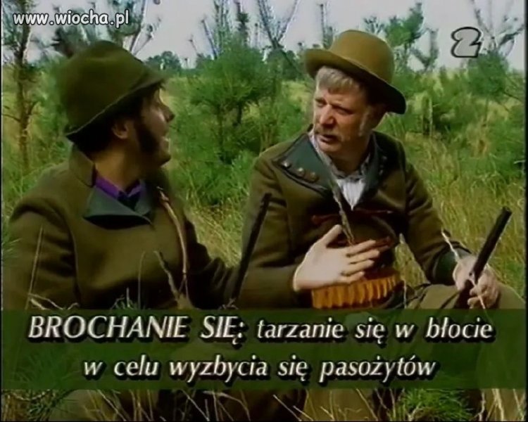 Brochanie się