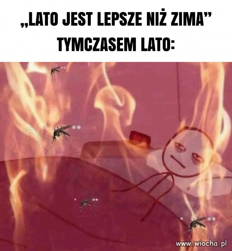 Ci, którzy lubią lato to szaleńcy