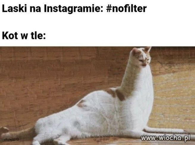 Naturalna piękność