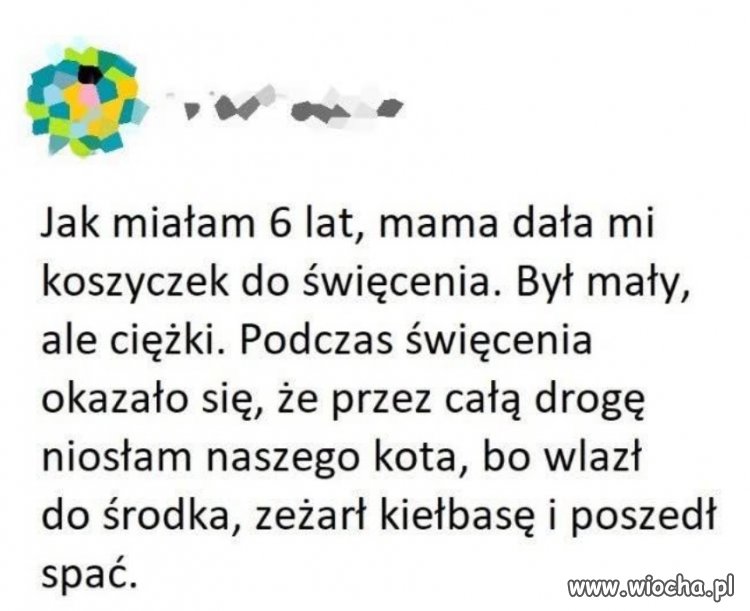 Kot wlazł do koszyczka