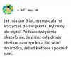 Kot wlazł do koszyczka