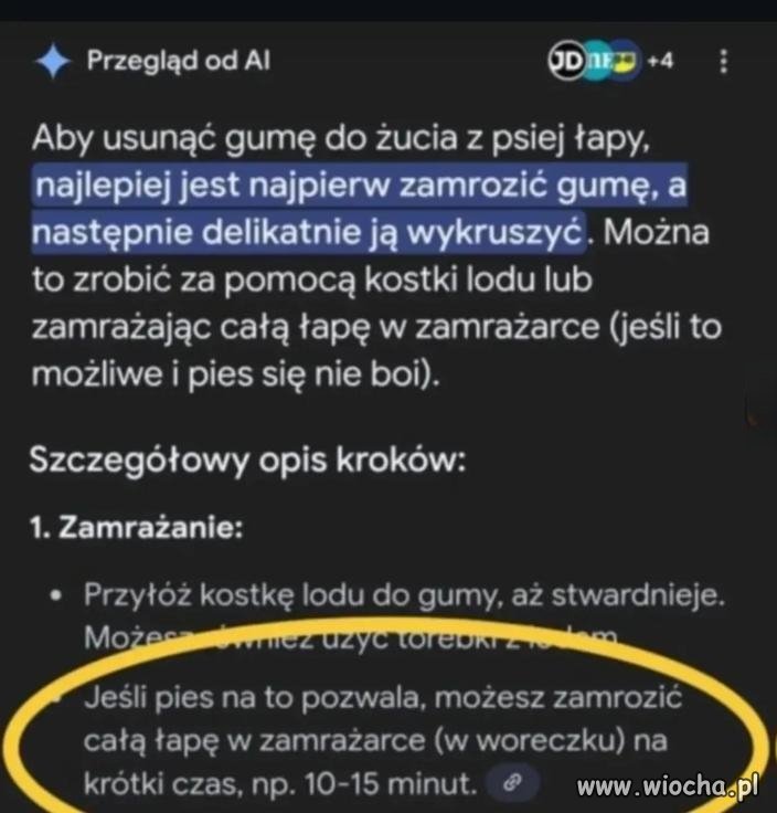 Co to za dziwna rada?