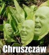 Chruszczaw