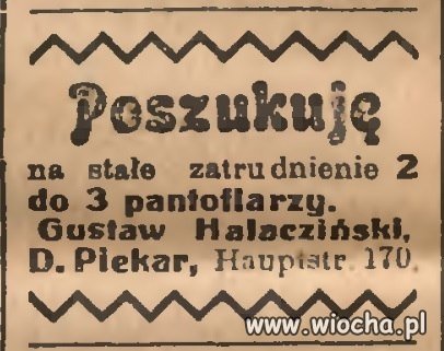 Poszukuję 2 do 3 pantoflarzy