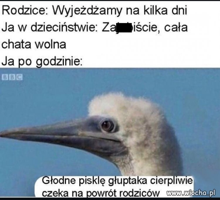 Super, że wyjeżdżacie, możecie nawet nie wracać