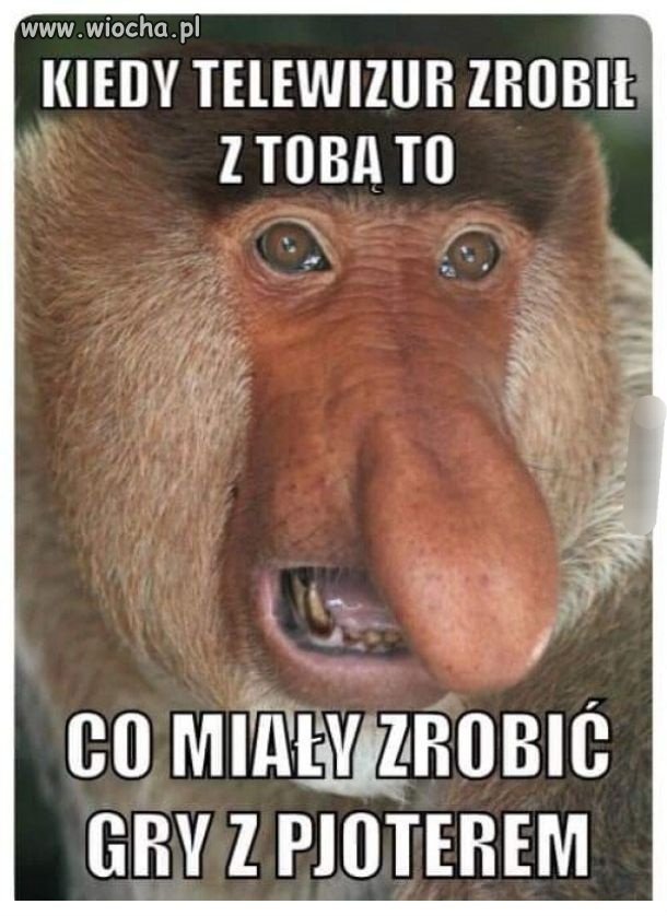 Bęben maszyny losującej jest pusty 