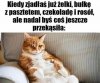 Kiedy zjadłaś już żelki bułkę czekoladę