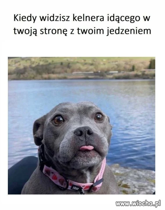 Kiedy widzisz kelnera idącego