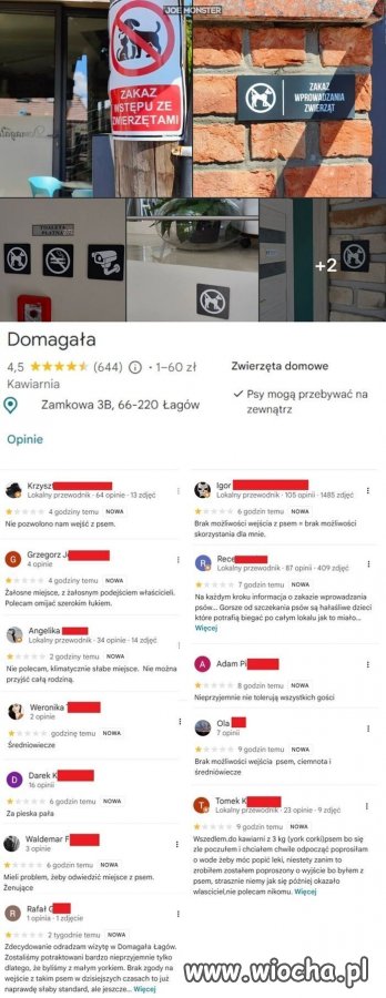Piesely i koteły wesly za mocno 