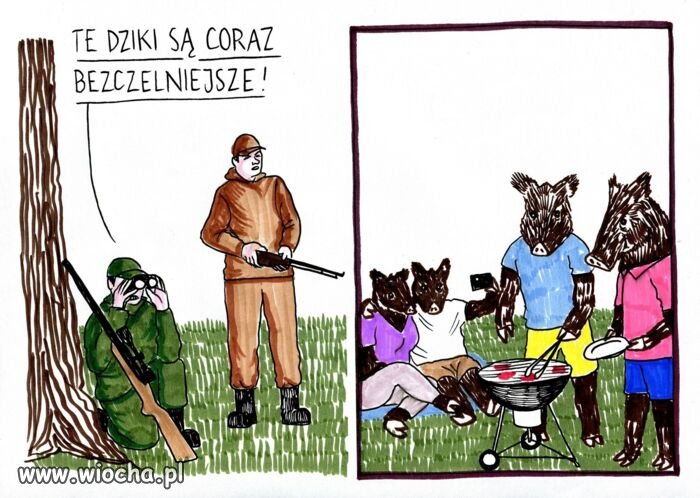 Sezon w pełni 