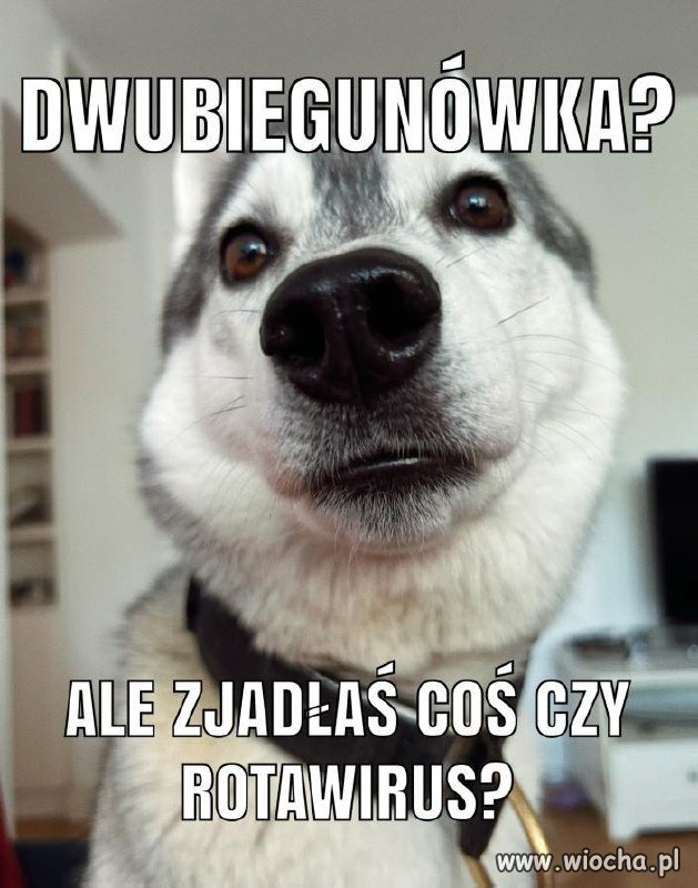 Dwubiegunówka?