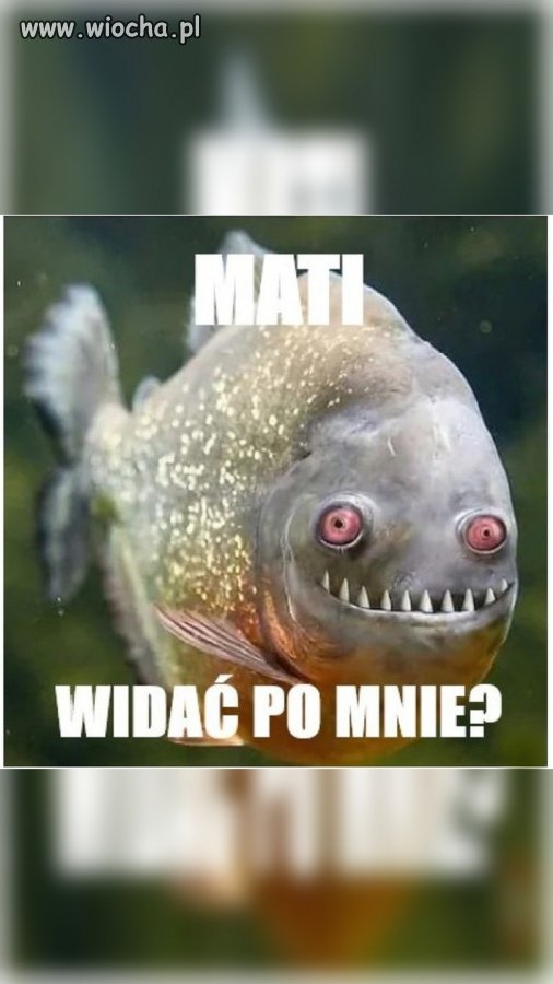 No co ty, stary