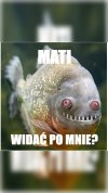 No co ty, stary