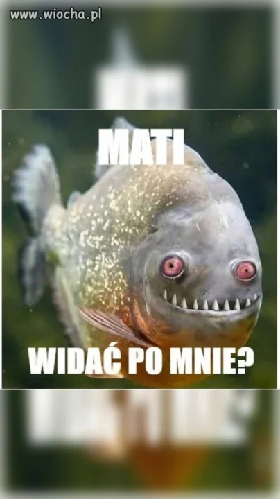 No co ty, stary