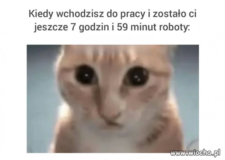 Wesołego poniedziałku