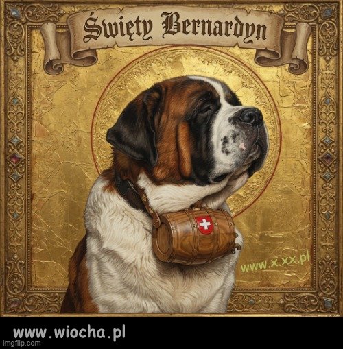 Dziś katolicy wspominają św. Bernardyna.