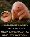 Nigdy nie jesteś samotny