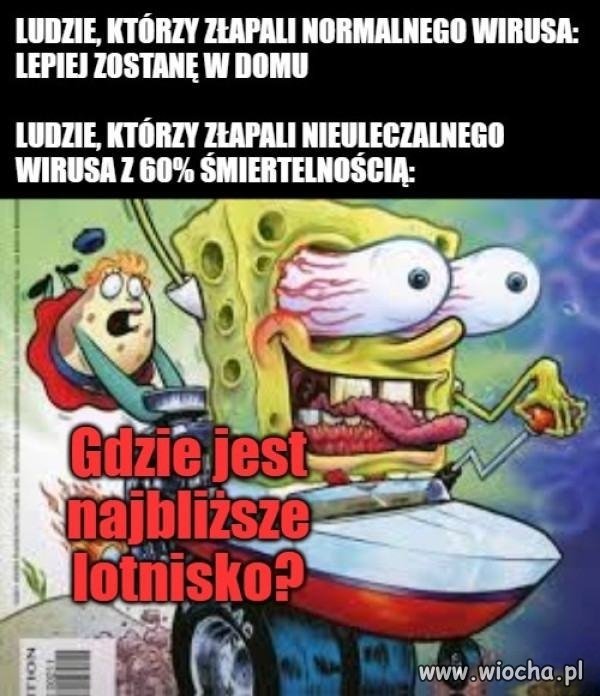 Wsiadają do pierwszego lepszego samolotu