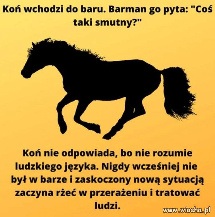 Koń wchodzi do baru