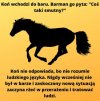 Koń wchodzi do baru