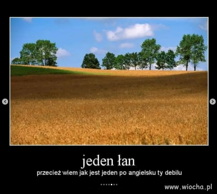Jeden łan