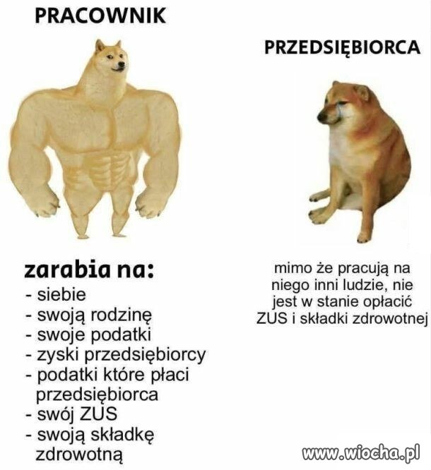 Bieda, nawet na ZUS go nie stać