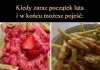 Wspaniałe dary matki natury