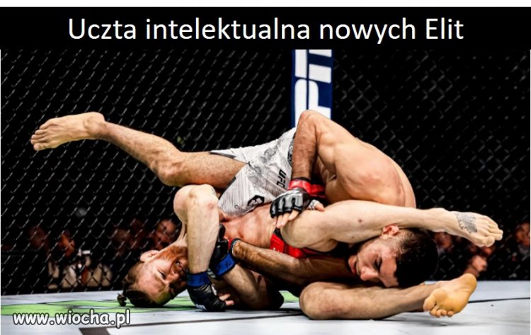 Jakie intelektualne Elity taka rozrywka, 