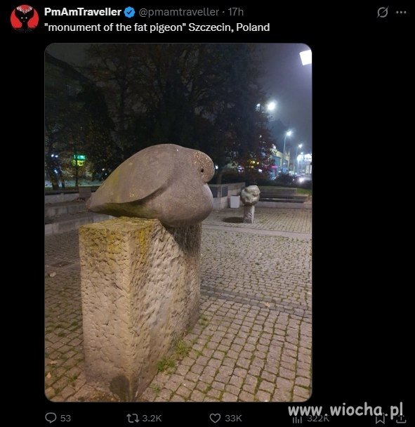 Pomnik grubego gołębia