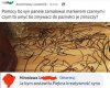 Syn zamalował panele