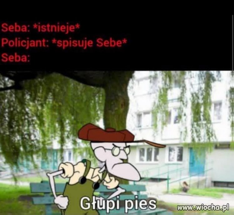 Seby nie lubią piesków