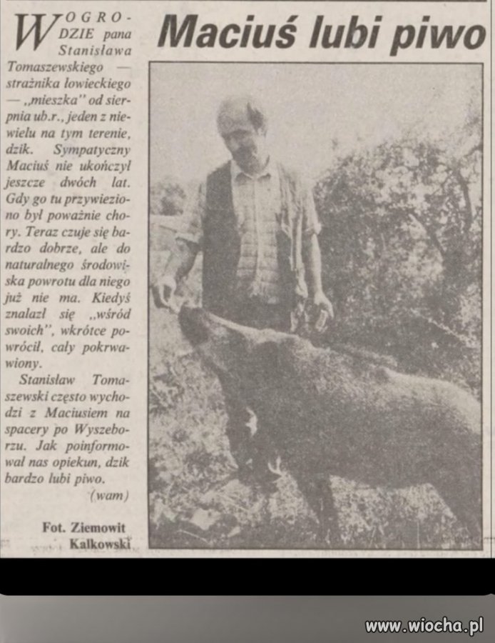 Maciuś lubi piwo