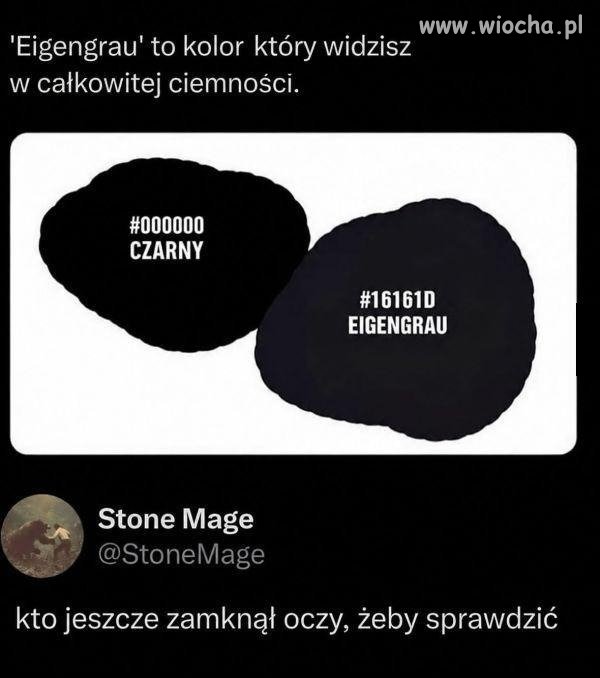 Debili nie brakuje