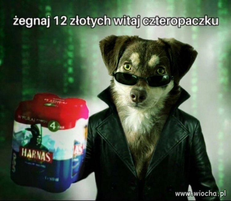 Polacy kiedy weekend, zwłaszcza długi