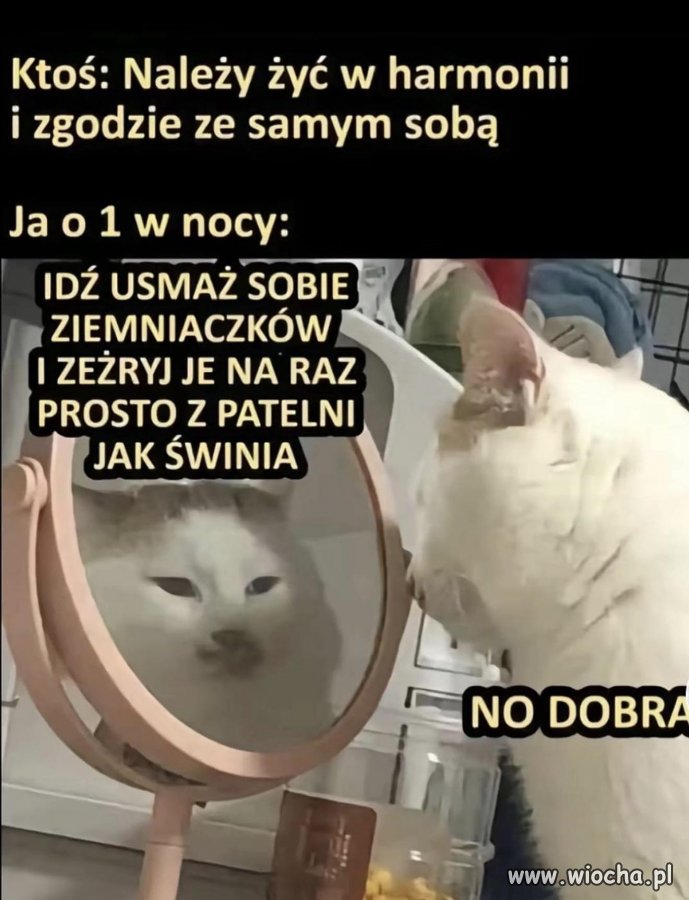 Żyj w zgodzie ze sobą