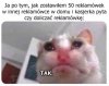 Tak, poproszę reklamóweczkę